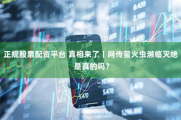 正规股票配资平台 真相来了丨网传萤火虫濒临灭绝 是真的吗？
