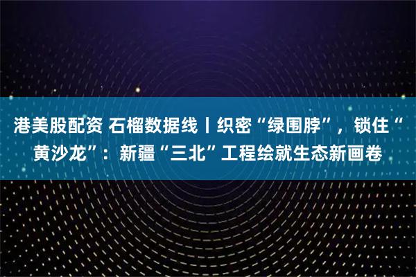 港美股配资 石榴数据线丨织密“绿围脖”，锁住“黄沙龙”：新疆“三北”工程绘就生态新画卷